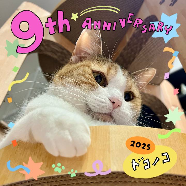 D65b1ff9 51b3 41d5 bfb0 35fb97a4383e 1749354302956