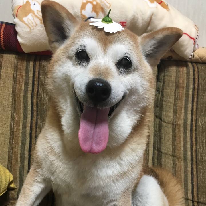 D65b7b3f fe26 42d2 823f b29722b41131 1522791204778