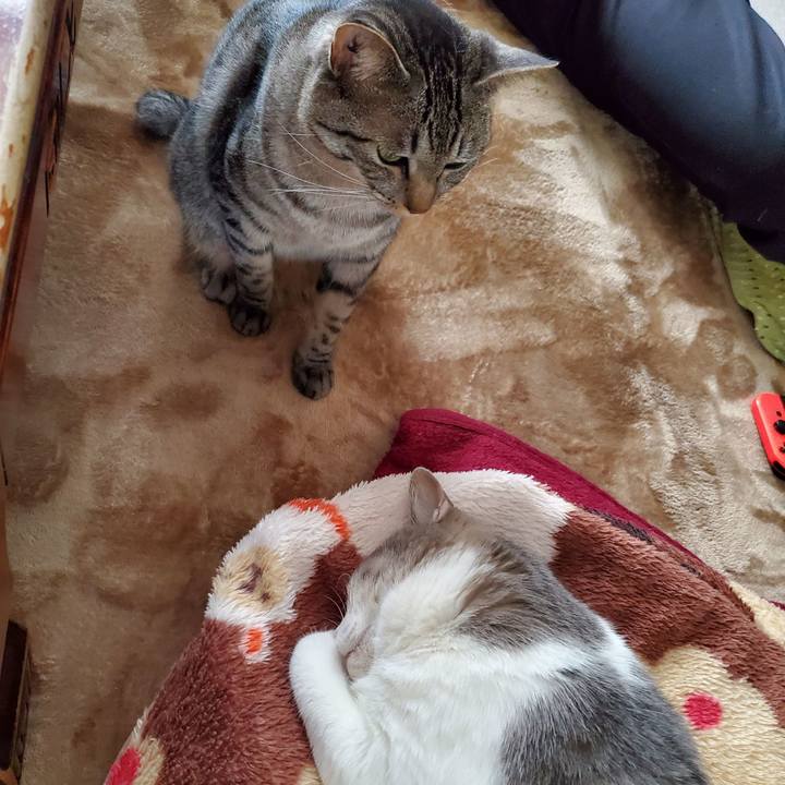 D65bb03f 6496 44da af99 9d55eabc90ba 1708967236314