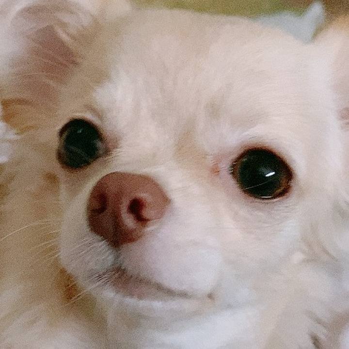 D65bb307 0bfa 4630 9ae6 b3b6ed1db460 1601934439905