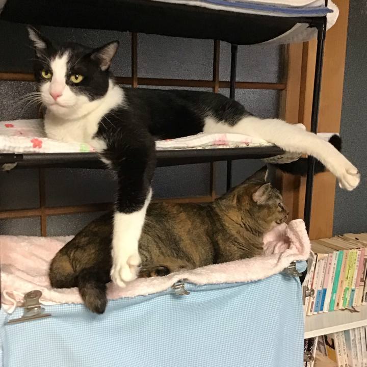 D65bdaa4 53fb 4a21 af78 395a729ca363 1757922530943