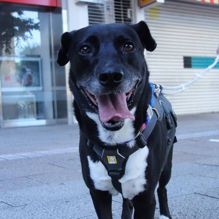 D65be5a9 9d8a 430e 9d93 945cbf791971 1658534831037