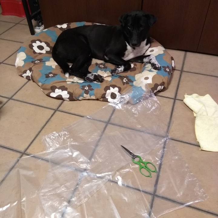 D65bf248 d8cd 43b9 a0a1 0ee1636f5e1c 1601030479965