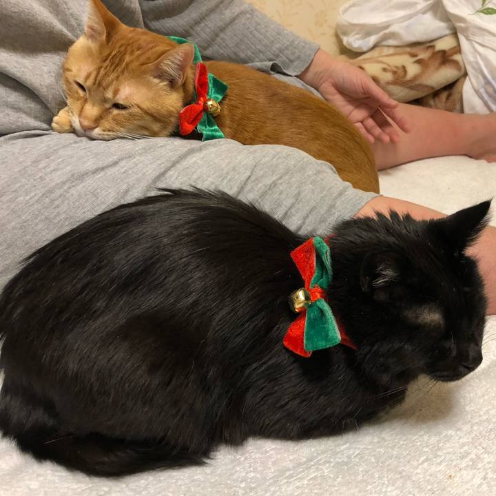 D65c42ef 169f 4ae8 be53 7301a5ccbbdf 1577103632666