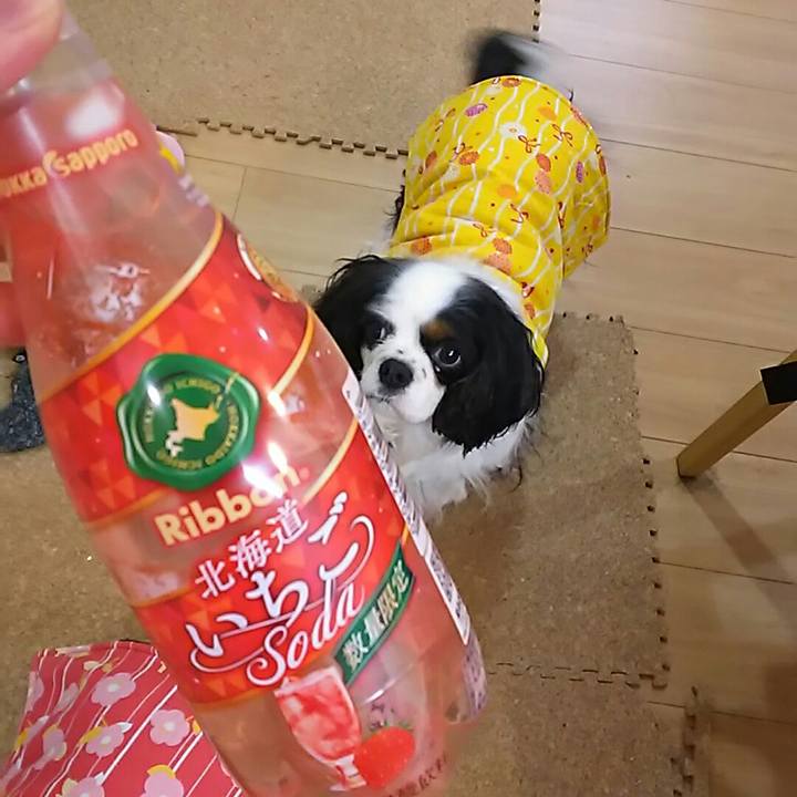 D65c42f7 2807 47c7 a389 8794c305c78a 1549712539775