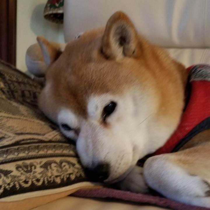 D65c4f59 8ade 4f54 a4db e1c0b12c79f5 1607473558456