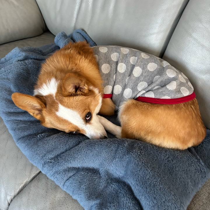 D65c669f ae69 48b9 b359 c68aa7e301ba 1765151993837