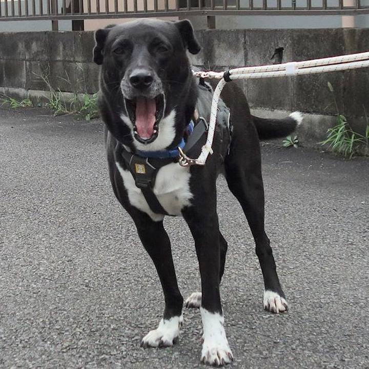 D65c8d49 2104 4988 9f4d de27cb4f8864 1663804981806