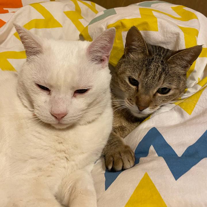 D65ca51a 9176 4012 9b0e 96fbe51e2dc9 1612740588587