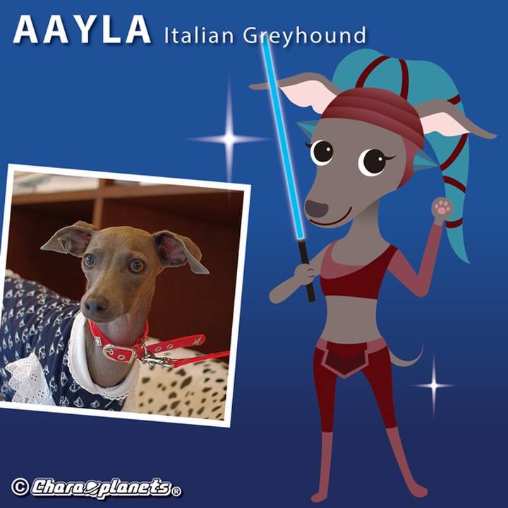 D65cafe0 b3fe 498c 9754 72f61a05c3ee 1557805691722