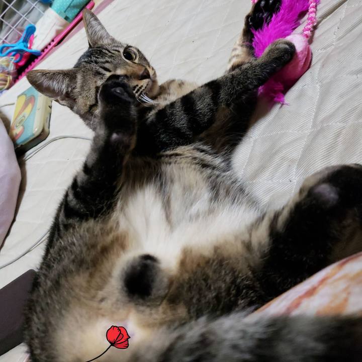 D65cd777 babc 4473 8c92 09349b3af929 1542899201158