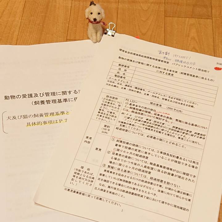 D65d1bc8 d20f 46e6 adb3 935a440d1341 1605452984060