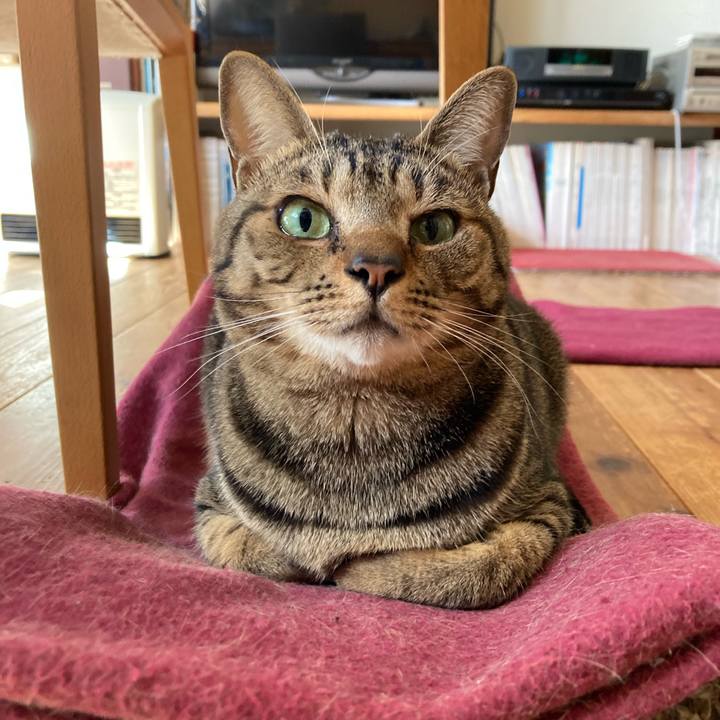 D65d400d 3dad 4372 9d09 d796167a3838 1710042910552