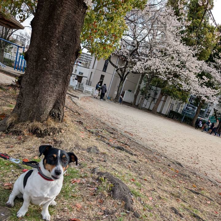 D65d66ca d358 46ab af61 4f4c16ad0d3f 1743336747165