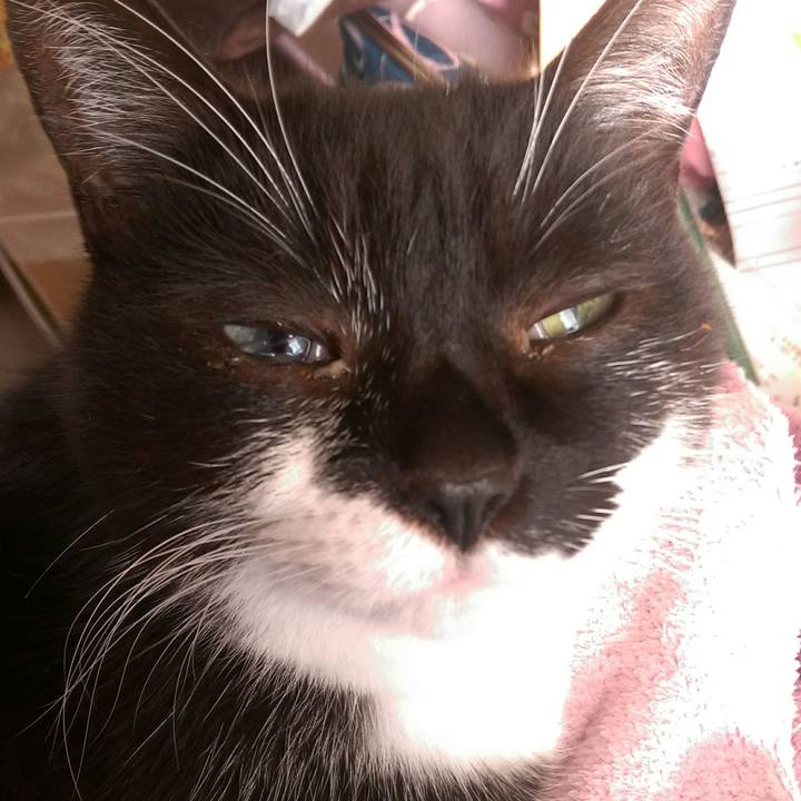 D65d8ce1 edda 4a0a b579 63d307468a2a 1546844732538