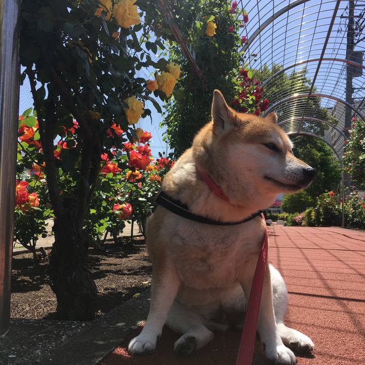 D65d8f65 42fe 4601 9a64 7974253f1c22 1619747911528