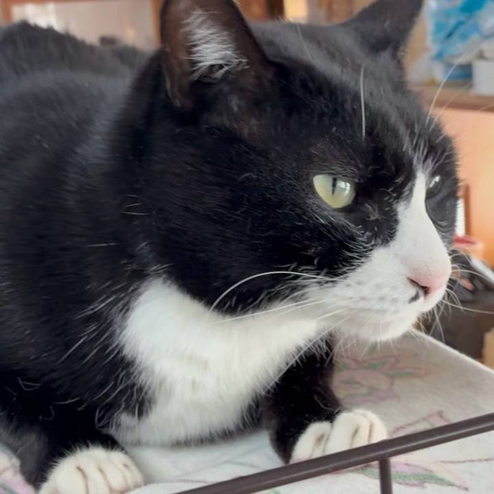 D65de922 ca3c 4b9e 95a6 cbdd09bdd7cd 1766753676566