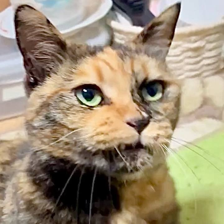 D65e1ffd bc12 4b6f a58d 1b389cb44058 1754597198583