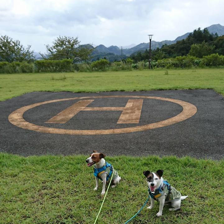 D65e2e74 cce3 4a89 9452 2c18562999e6 1569205724717