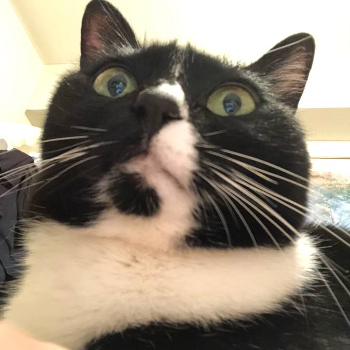 D65e6ff8 125c 443a 8890 8667917db240 1562189156828