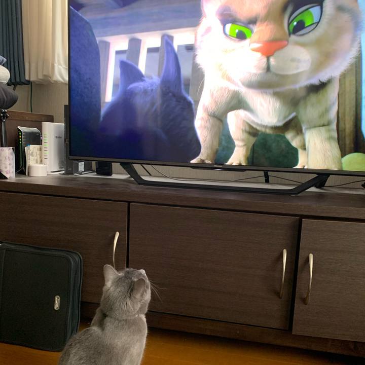 D65eb3aa d896 4ae5 ad08 c384cc8d9795 1615525941139