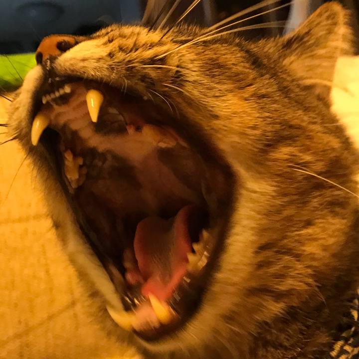 D65ecccc dc75 4b1e 8c68 88b1400cecce 1532103569053