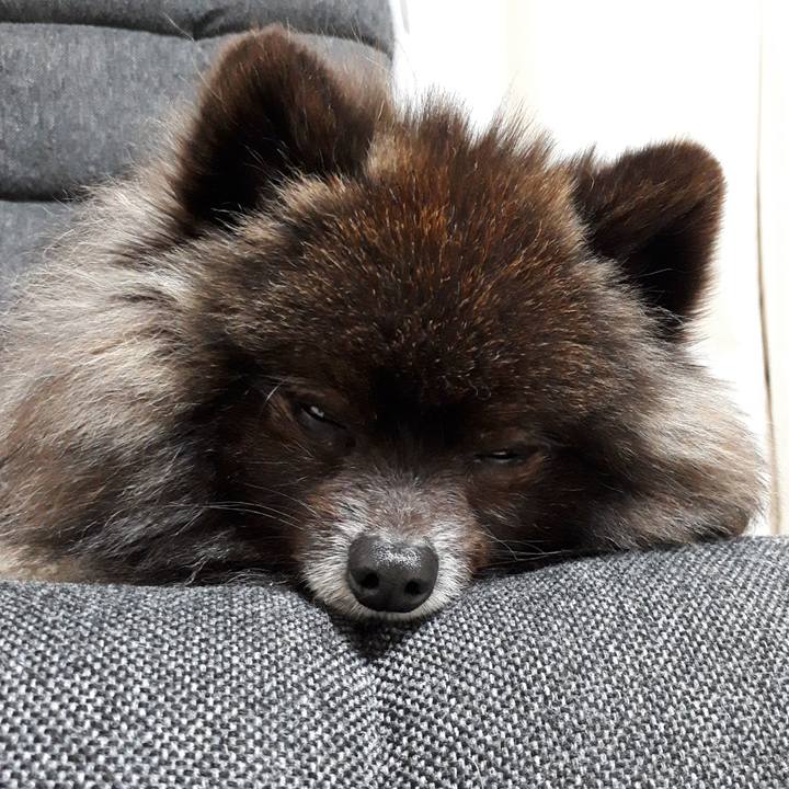 D65f0c5b 4344 412a b95c bda5f4e8182a 1520443368464