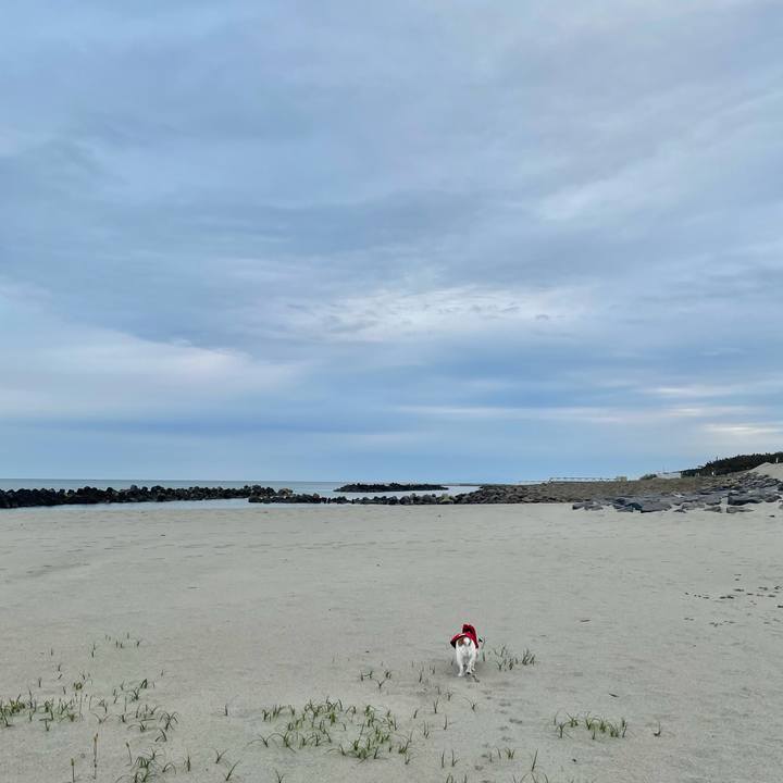 D65f21d1 dfe3 44c3 98fa a8364ec0173d 1618608382035