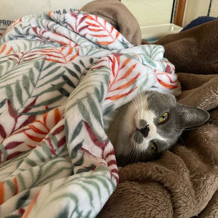 D65fd8a8 dc8a 4c10 bd09 b9ae1b06c0f8 1671605516226