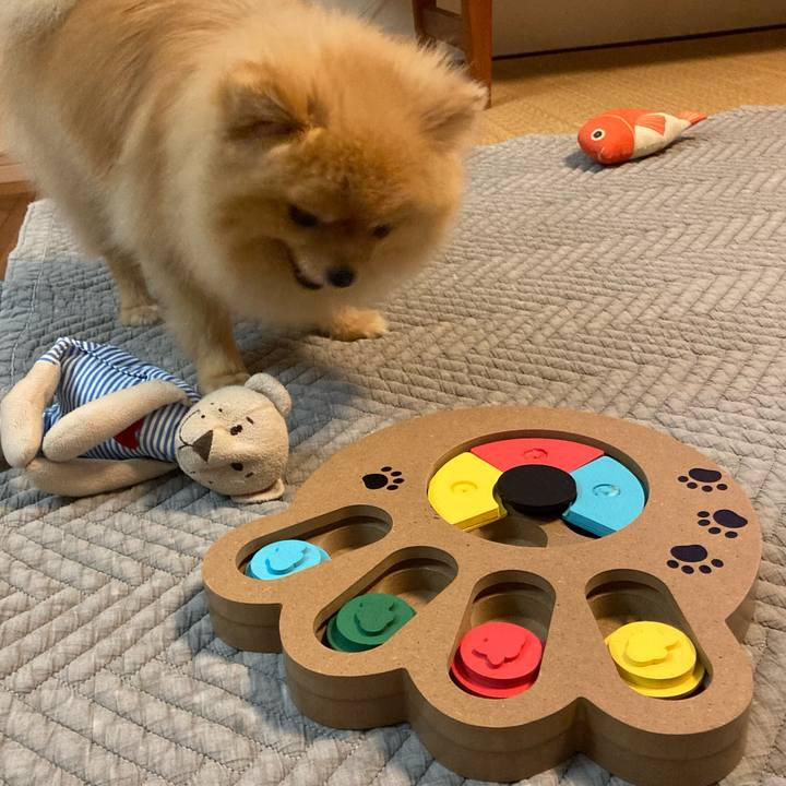 D65fe8d4 9963 43d5 acd4 d29f77a89d4b 1691364162317