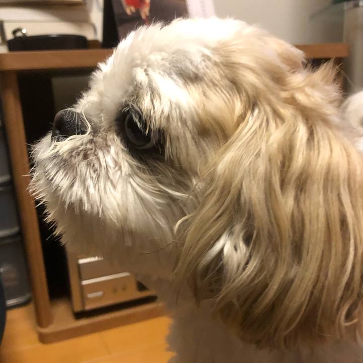 D660036a 99cf 45eb bf55 26562f9a3b00 1624484915250