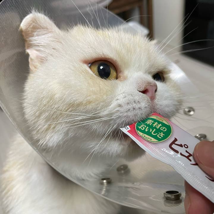 D6603d0f 50d3 4f44 9d28 06911abd6ae7 1757166833804