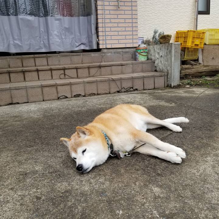 D660405a 1ee1 4945 92d7 c018b567d0db 1708648386681