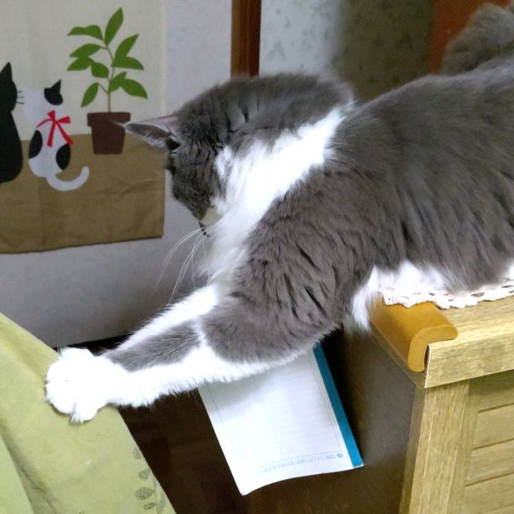 D660563b a9d8 4fa5 8dc4 a5a11a07fdd7 1600500398360