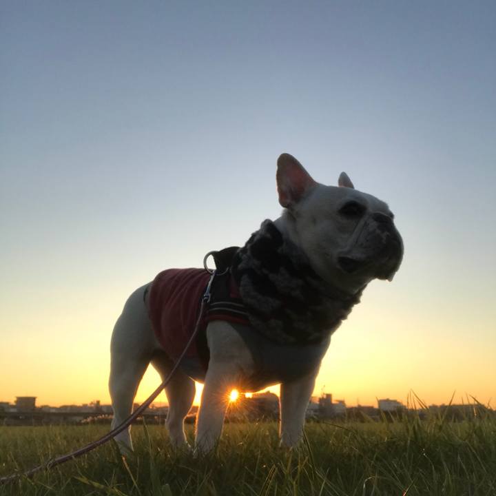 D6605c3d 77ee 44b4 89ce d7069a3cfacd 1511790895376