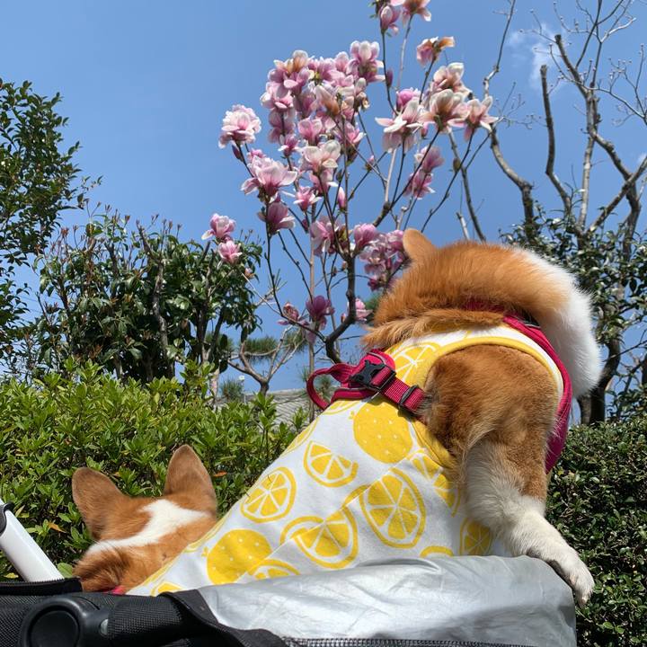 D66084b3 f0ca 41e6 b024 323ccc7cfdf9 1616732480476