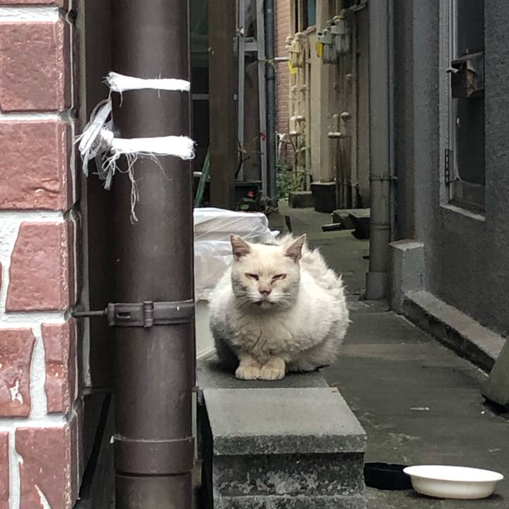 D660c14a d484 43fc 9363 b8b6678ed9a5 1570465658873