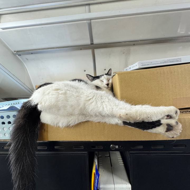 D660c1b4 8d6e 47f6 8562 0192f0d37d3b 1757824396791