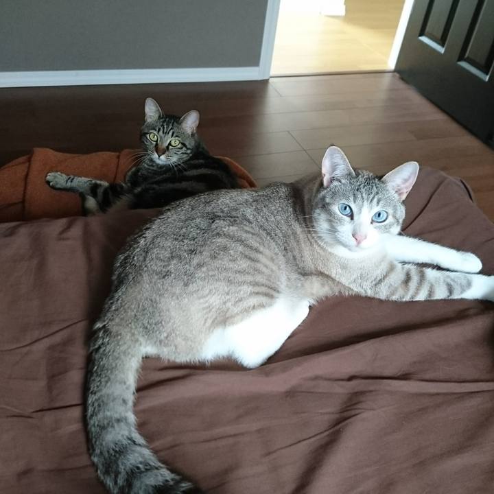 D6610ab2 eb15 4d6e a785 b155be9e03a0 1559101112707