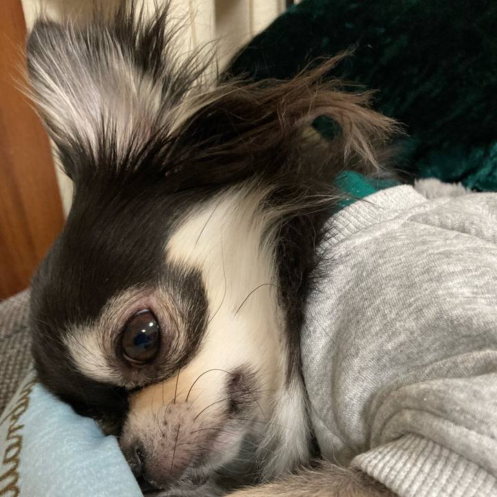 D661219d f72e 487f 8327 2ecbc94ef18b 1640842411589