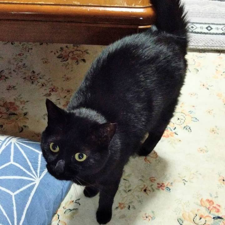 D6615688 c0fb 4ffb a28c 6d96d290ea84 1617721875295