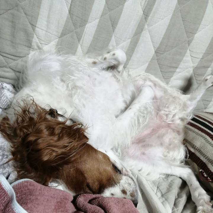 D6616d5a d033 469d bbde e015a8af5442 1566905924955