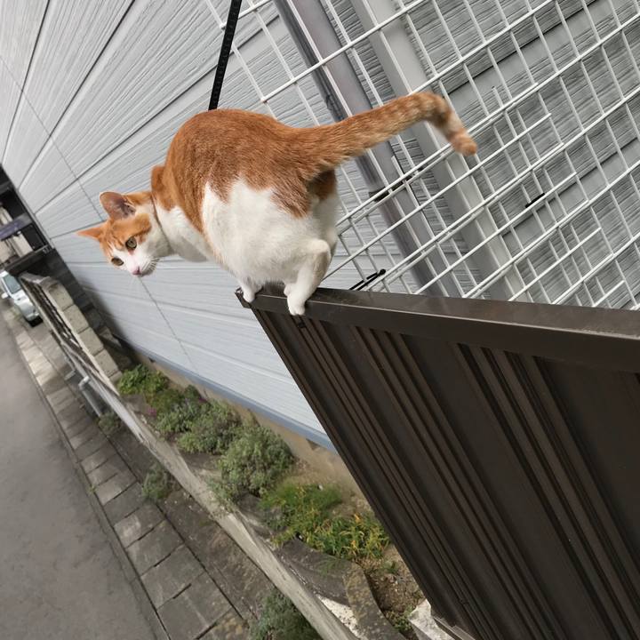 D66176b2 459d 44f7 bc24 b203a2693e9e 1507949622763