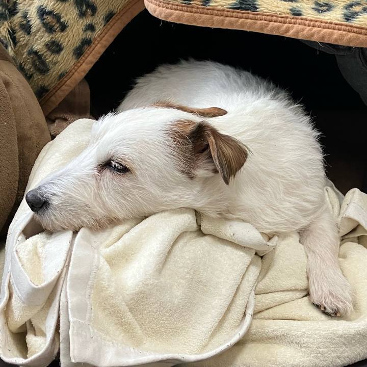 D661d24b 4b95 4e46 9d0b 0749ca6d9fdb 1672196430491