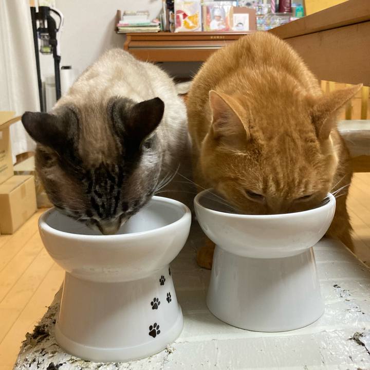 D661e849 750b 43ed 94c0 a526393ab67f 1757771476670