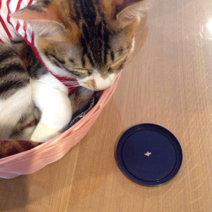 D661e8a8 7c88 47a4 8f97 ce6d3075f0aa 1634096756793