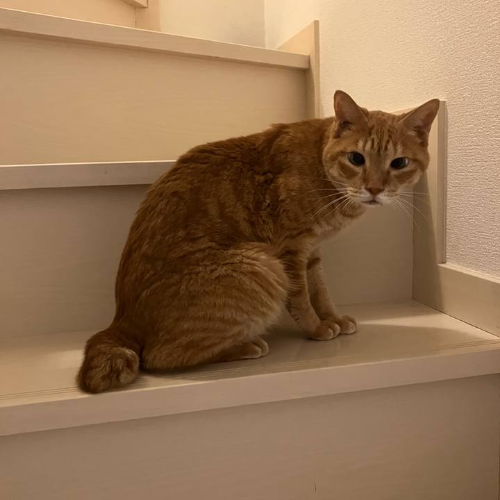 D6620274 34cb 4f5d 8836 f3c815633288 1759054436548