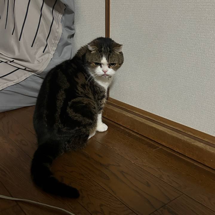 D66206e8 9540 4ca6 9da4 731054ea936a 1771189009066