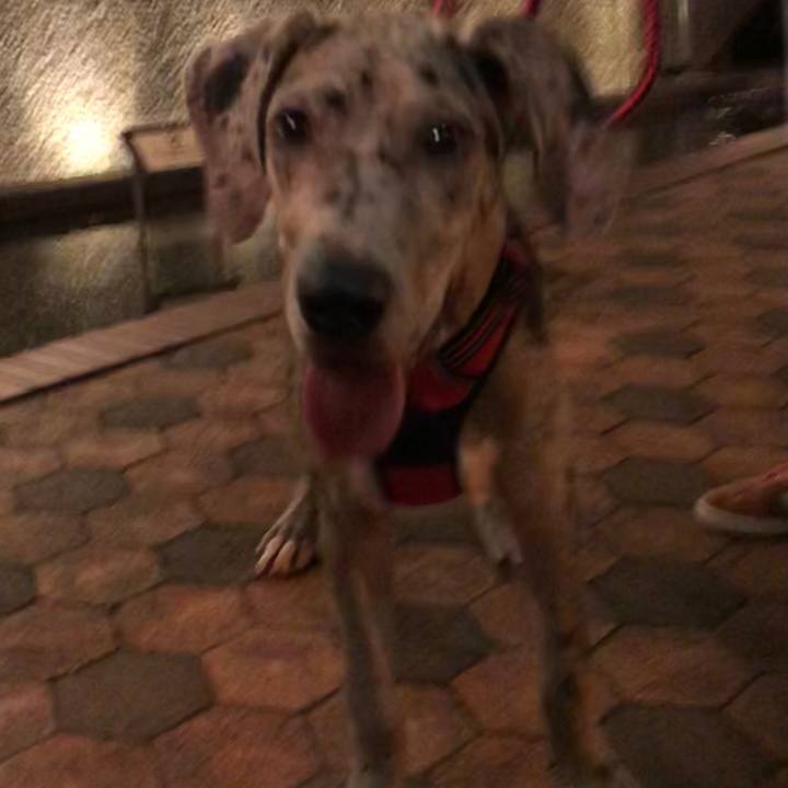 D6622b32 ae8b 432b b3b5 6e8a4a3ea5ab 1526562401213