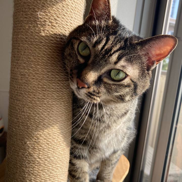 D6623ca9 2f71 463e b2b7 0c25690a8965 1713057500731